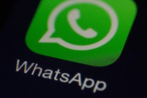 Zimbabwe : La Police Découvre Un Groupe Whatsapp Gay De 1 000 Membres