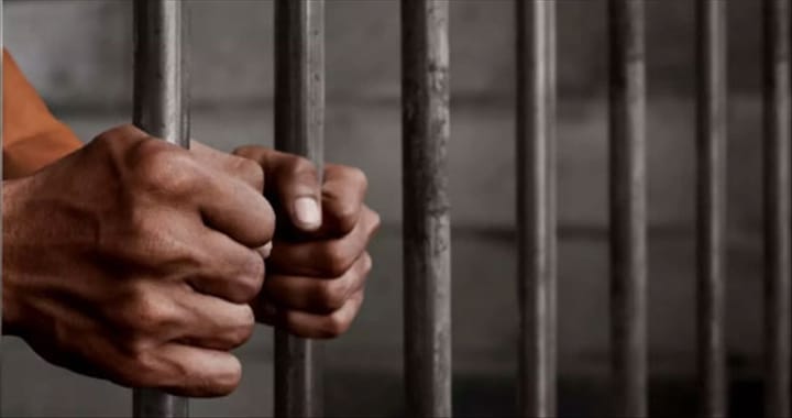 Bénin : Un chef de village écroué pour vol de bœuf